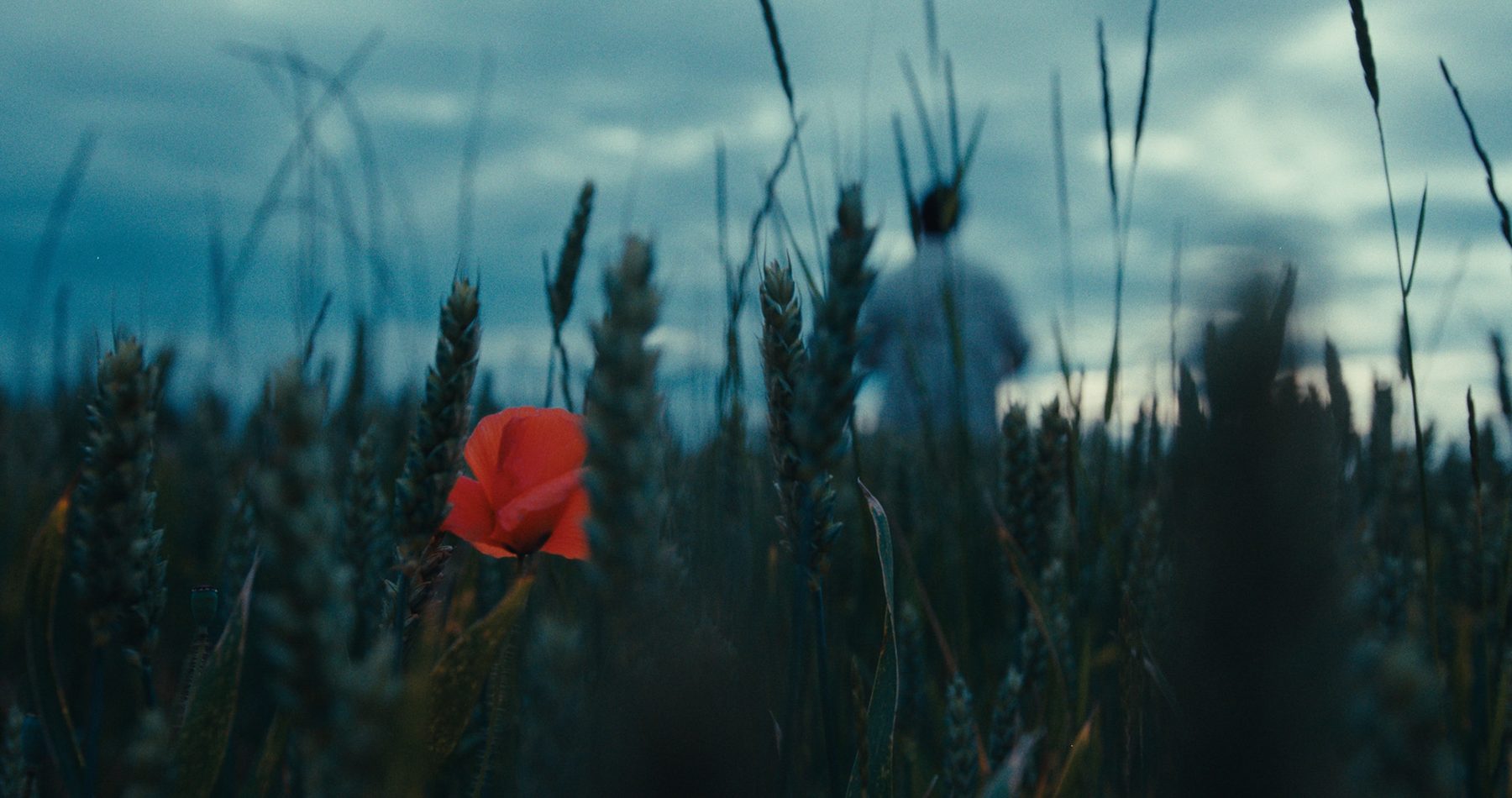 The French Land — étalonnage Clément Rigour